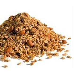 Golden Temple Natural Maple Pecan Dream Granola (1 Pack)